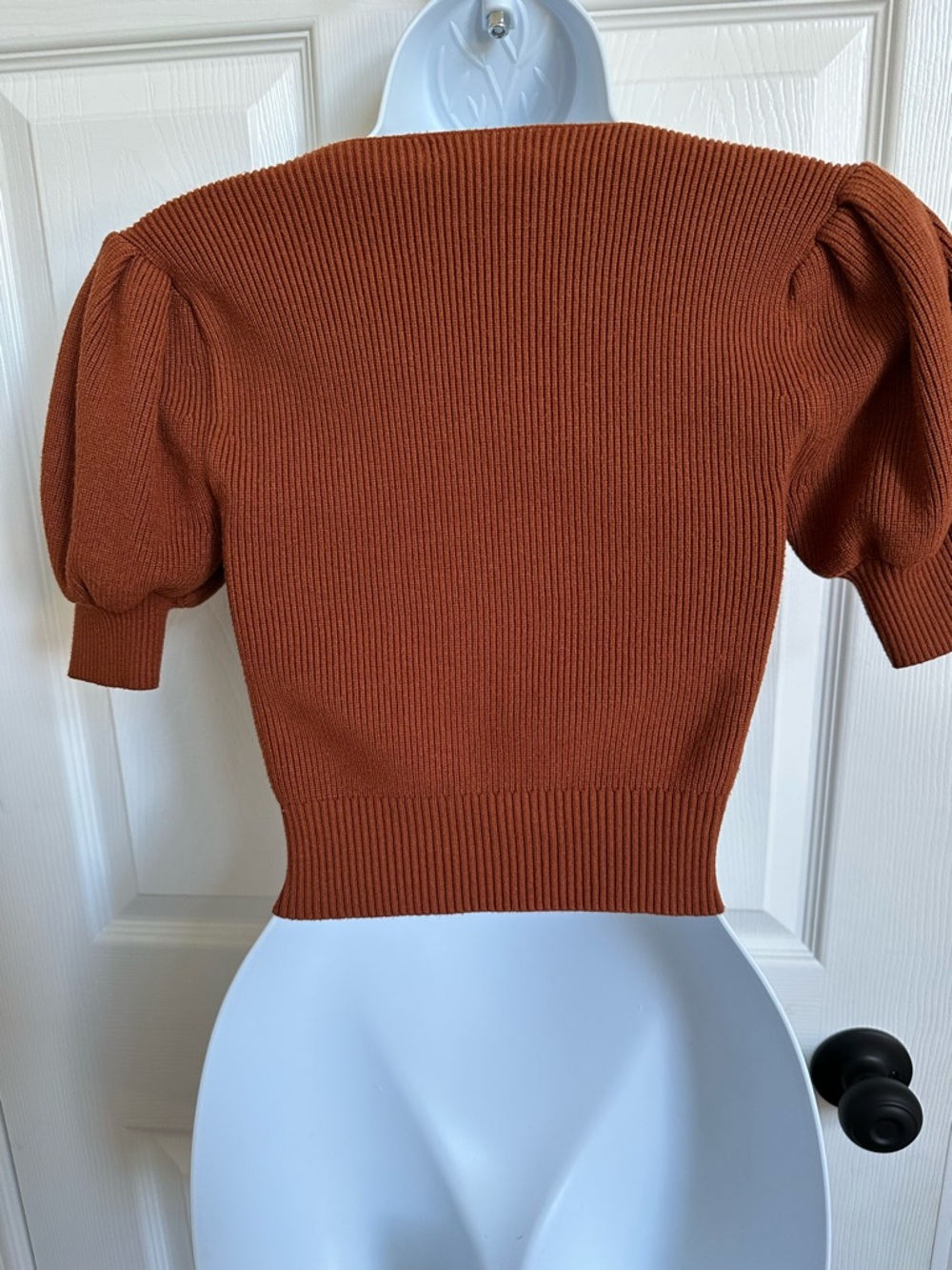 essue Rust Ribbed Puff-Sleeve Cropped Top - Picture 3 of 3